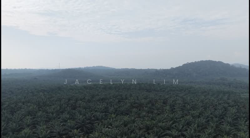 Agricultural Land for Sale in Kahang (Johor) - Jacelyn Lim - Exterior - PropertyGuru.com.my