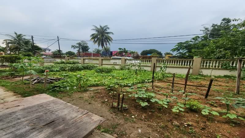 Rumah Berkembar untuk Dijual di Senai (Johor) - Jane Lai - Garden - PropertyGuru.com.my