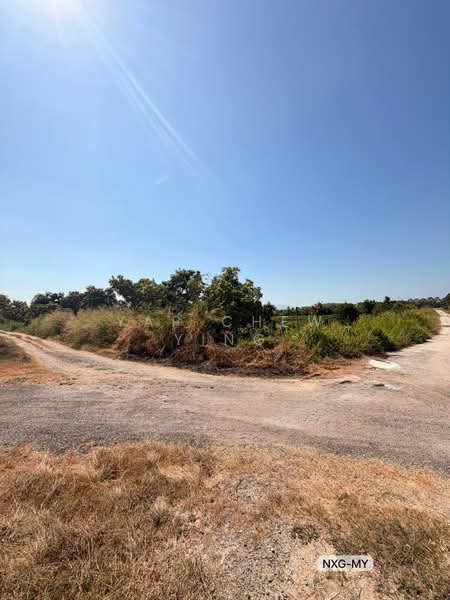 Tanah Pertanian untuk Dijual di Bukit Mertajam (Penang) - Yap Chew Ying - PropertyGuru.com.my