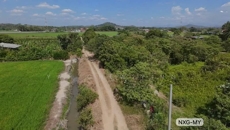 Tanah Pertanian untuk Dijual di Bukit Mertajam (Penang) - Yap Chew Ying - PropertyGuru.com.my