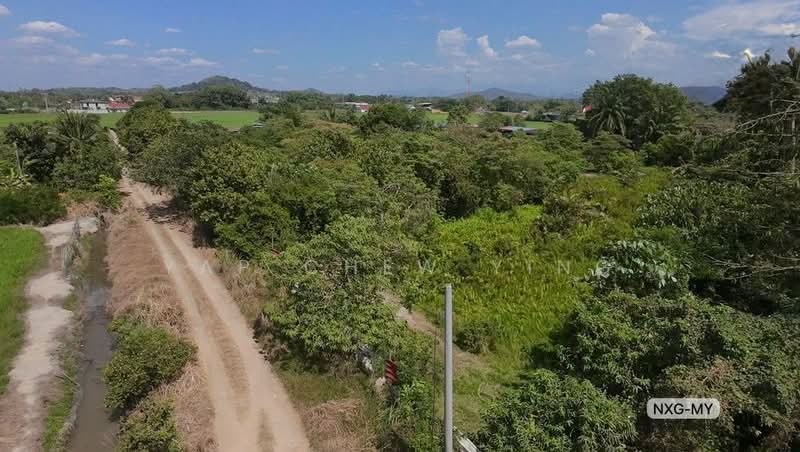 Tanah Pertanian untuk Dijual di Bukit Mertajam (Penang) - Yap Chew Ying - PropertyGuru.com.my