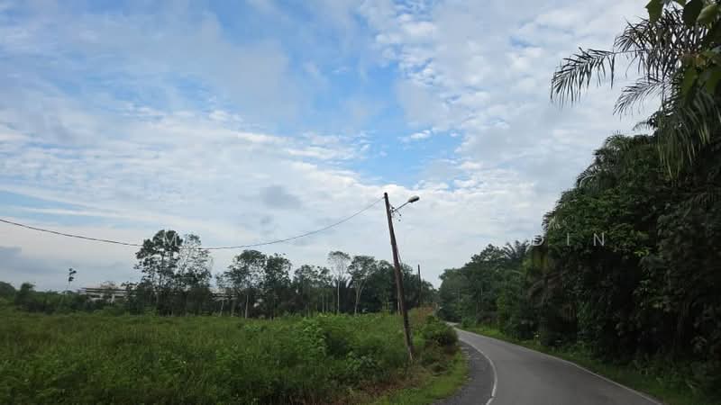 Agricultural Land for Sale in Pekan Nenas (Jeram Batu) - Ahmad Fakhruddin - PropertyGuru.com.my