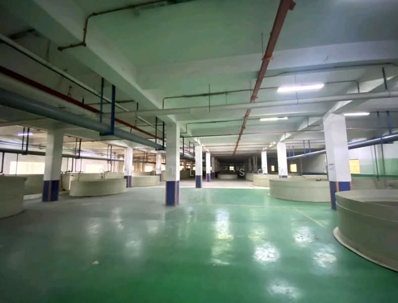 Factory for Rent in Taman Perindustrian Tampoi (Tampoi) - Sherrly Sow - Interior - PropertyGuru.com.my