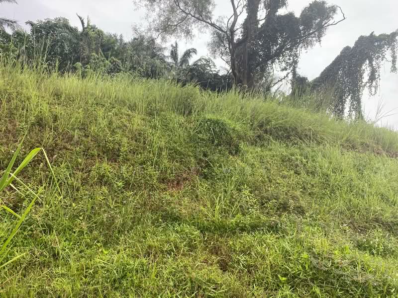 Residential Land for Sale in Johor Bahru (Johor) - Kelly Wai - Exterior - PropertyGuru.com.my