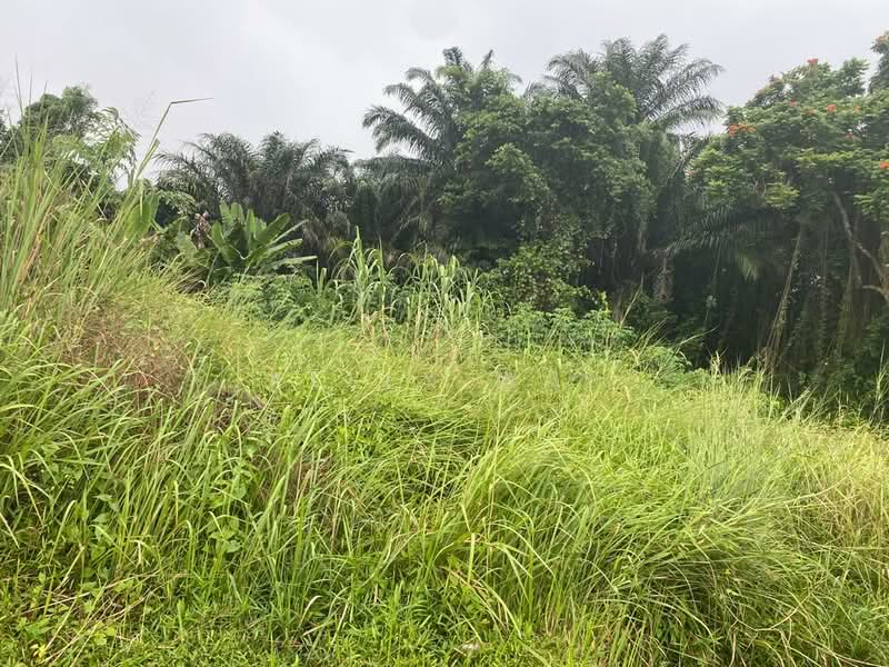 Residential Land for Sale in Johor Bahru (Johor) - Kelly Wai - Garden - PropertyGuru.com.my