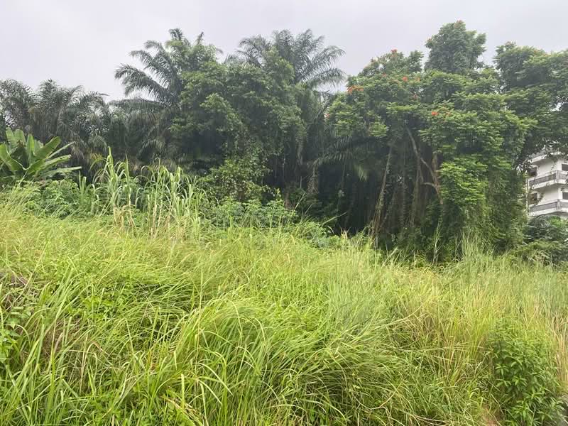 Residential Land for Sale in Johor Bahru (Johor) - Kelly Wai - Exterior - PropertyGuru.com.my