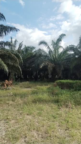 Agricultural Land for Sale in Jerantut (Pahang) - Kelly Wai - Exterior - PropertyGuru.com.my