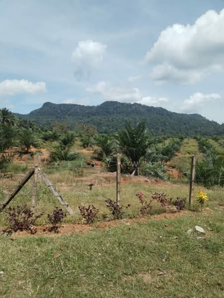 Agricultural Land for Sale in Maran (Pahang) - Kelly Wai - Exterior - PropertyGuru.com.my