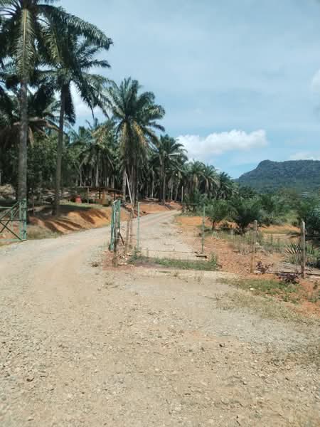 Agricultural Land for Sale in Maran (Pahang) - Kelly Wai - Exterior - PropertyGuru.com.my