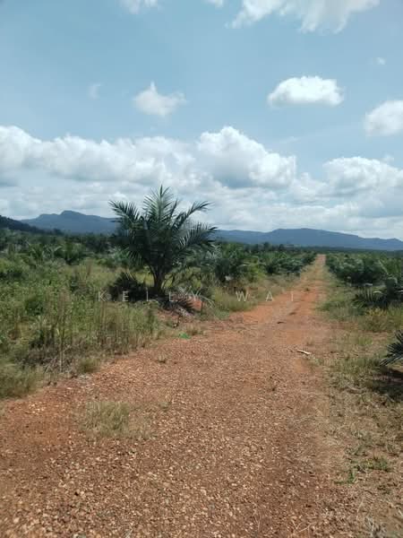 Agricultural Land for Sale in Maran (Pahang) - Kelly Wai - Exterior - PropertyGuru.com.my