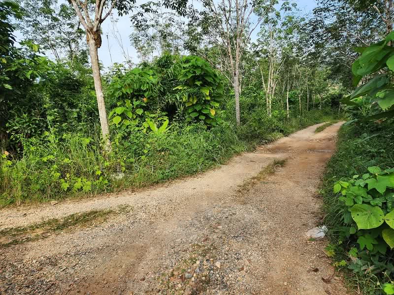 Agricultural Land for Sale in Gua Musang (Kelantan) - Elsie Yoong - Exterior - PropertyGuru.com.my