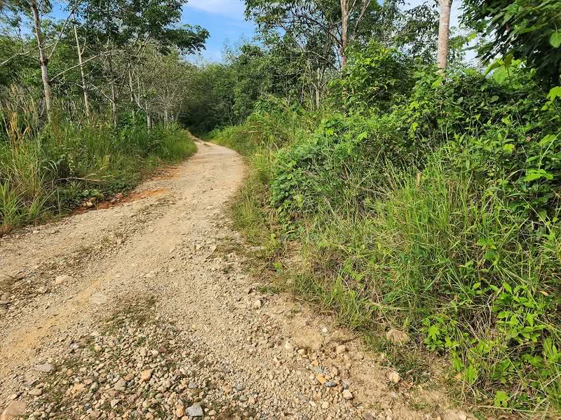 Agricultural Land for Sale in Gua Musang (Kelantan) - Elsie Yoong - Exterior - PropertyGuru.com.my