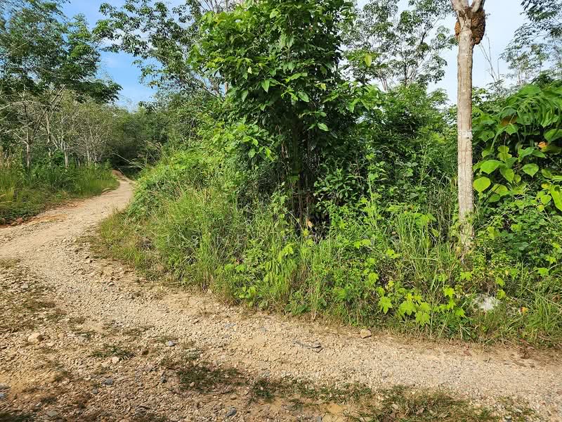 Agricultural Land for Sale in Gua Musang (Kelantan) - Elsie Yoong - Exterior - PropertyGuru.com.my