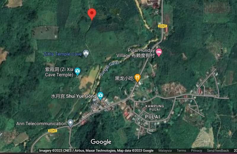 Agricultural Land for Sale in Gua Musang (Kelantan) - Elsie Yoong - PropertyGuru.com.my
