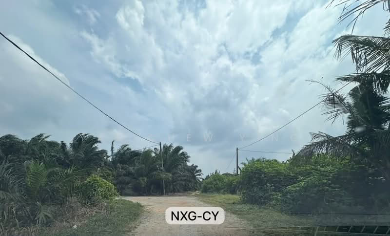 Tanah Pertanian untuk Disewa di Kampung Kelanang (Banting) - Yap Chew Ying - PropertyGuru.com.my
