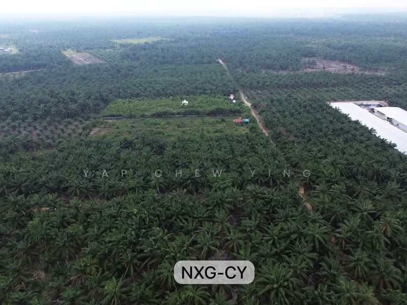 Tanah Pertanian untuk Disewa di Kampung Kelanang (Banting) - Yap Chew Ying - PropertyGuru.com.my