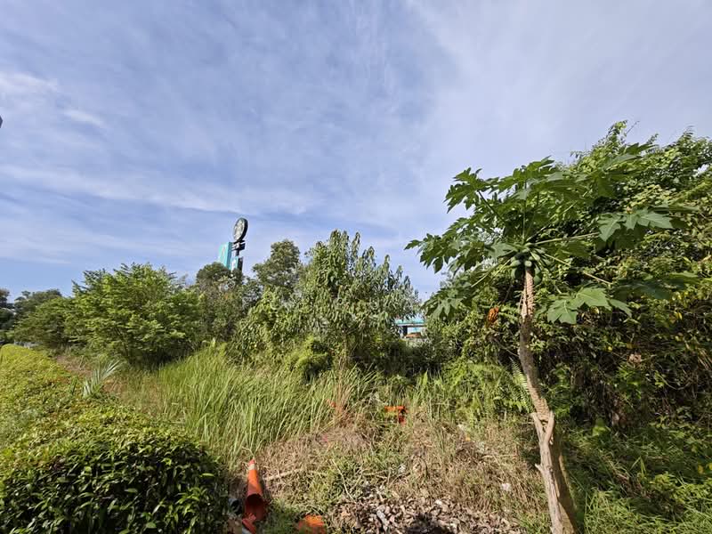 Commercial Land for Sale in Senai (Kulai) - Fu Guan - Exterior - PropertyGuru.com.my