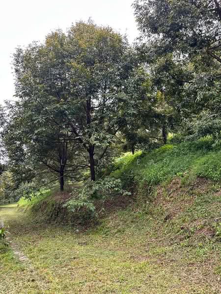 Tanah Pertanian untuk Dijual di Raub (Pahang) - Alvin Seah - Garden - PropertyGuru.com.my