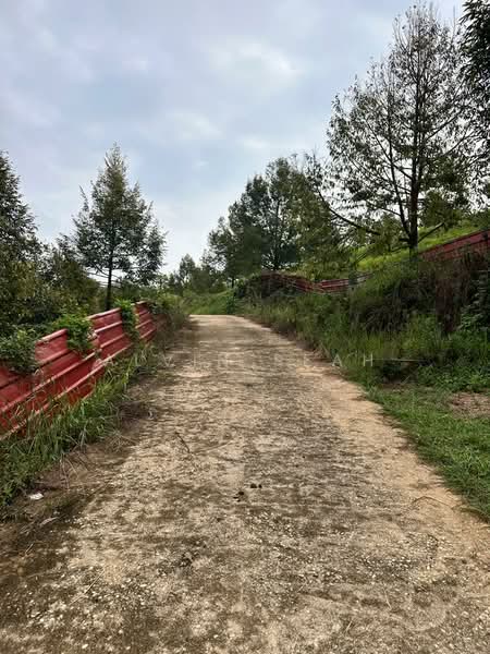 Tanah Pertanian untuk Dijual di Raub (Pahang) - Alvin Seah - Exterior - PropertyGuru.com.my
