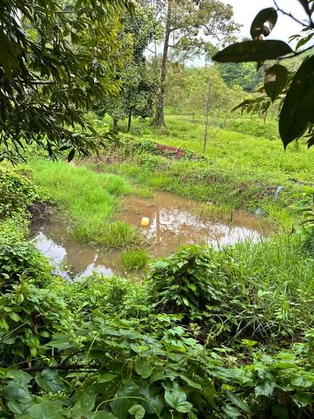 Tanah Pertanian untuk Dijual di Raub (Pahang) - Alvin Seah - Garden - PropertyGuru.com.my