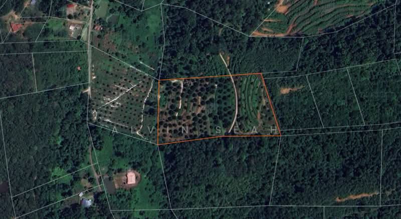 Tanah Pertanian untuk Dijual di Raub (Pahang) - Alvin Seah - Exterior - PropertyGuru.com.my