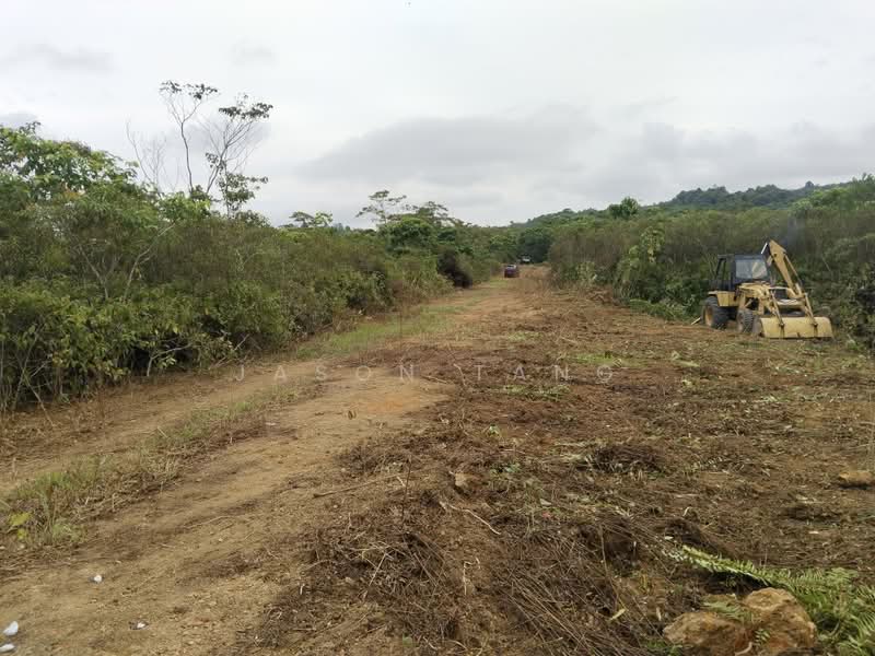 Agricultural Land for Rent in Kota Tinggi (Johor) - Jason Tang - Exterior - PropertyGuru.com.my