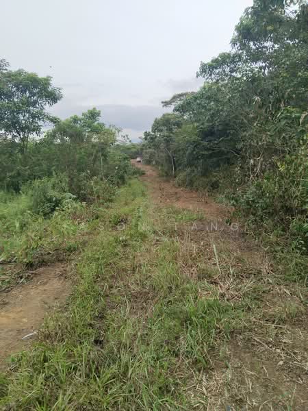 Agricultural Land for Rent in Kota Tinggi (Johor) - Jason Tang - Exterior - PropertyGuru.com.my