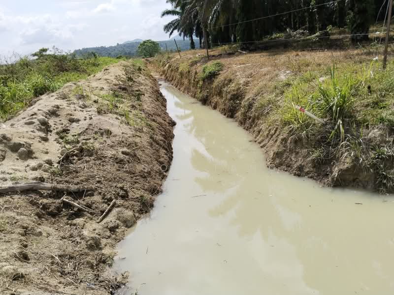 Agricultural Land for Rent in Kota Tinggi (Johor) - Jason Tang - Exterior - PropertyGuru.com.my