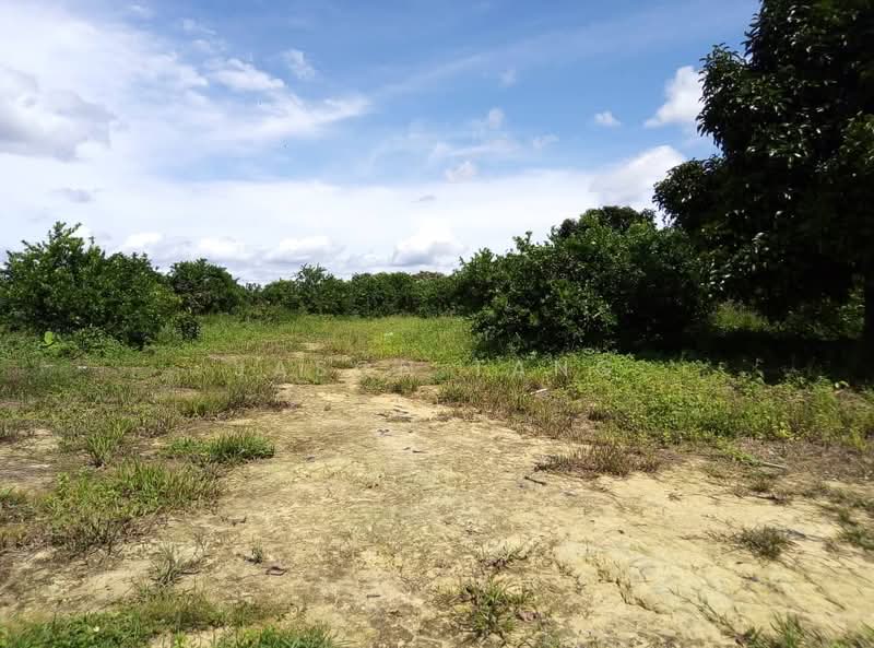 Agricultural Land for Rent in Kota Tinggi (Johor) - Jason Tang - Exterior - PropertyGuru.com.my