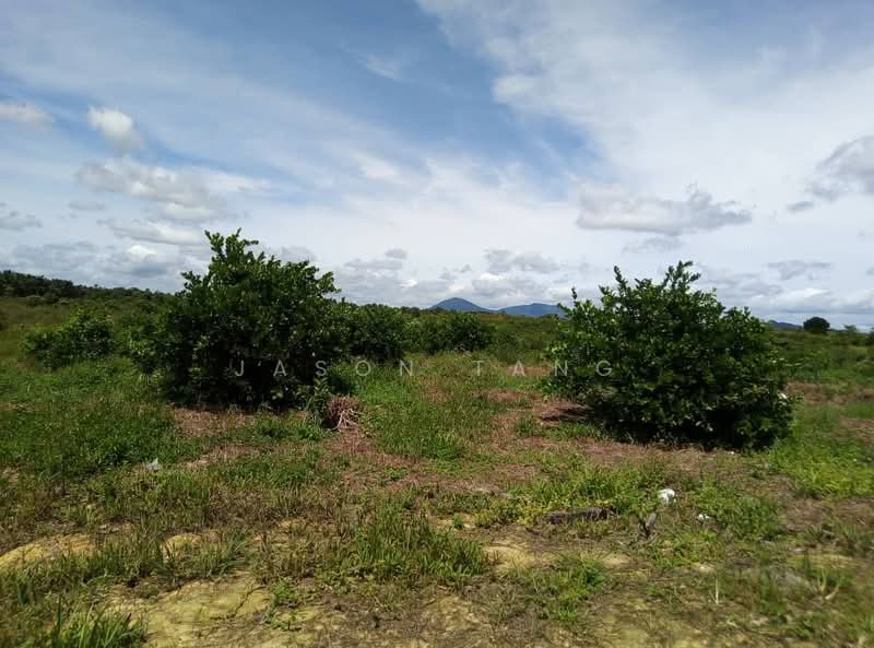 Agricultural Land for Rent in Kota Tinggi (Johor) - Jason Tang - Exterior - PropertyGuru.com.my
