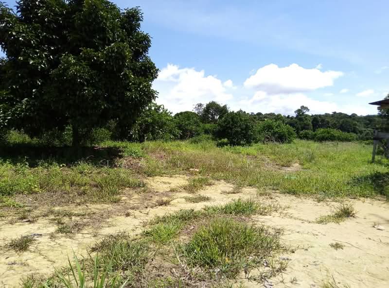 Agricultural Land for Rent in Kota Tinggi (Johor) - Jason Tang - Exterior - PropertyGuru.com.my