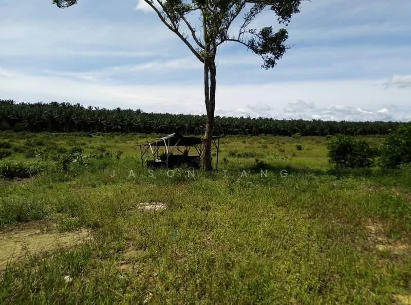 Agricultural Land for Rent in Kota Tinggi (Johor) - Jason Tang - Exterior - PropertyGuru.com.my