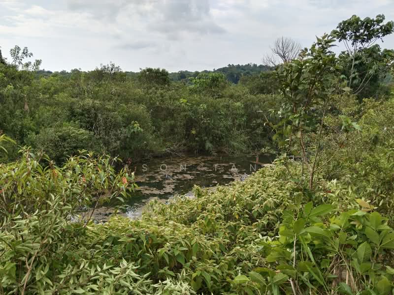 Agricultural Land for Rent in Kota Tinggi (Johor) - Jason Tang - Exterior - PropertyGuru.com.my