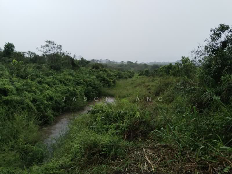 Agricultural Land for Rent in Kota Tinggi (Johor) - Jason Tang - Exterior - PropertyGuru.com.my