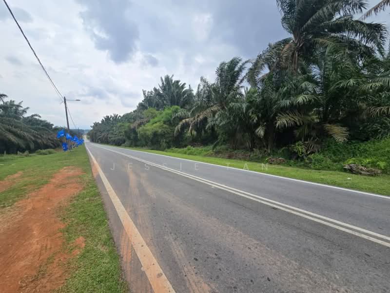 Tanah Pertanian untuk Dijual di Kulai (Johor) - Jessie Tan - Exterior - PropertyGuru.com.my