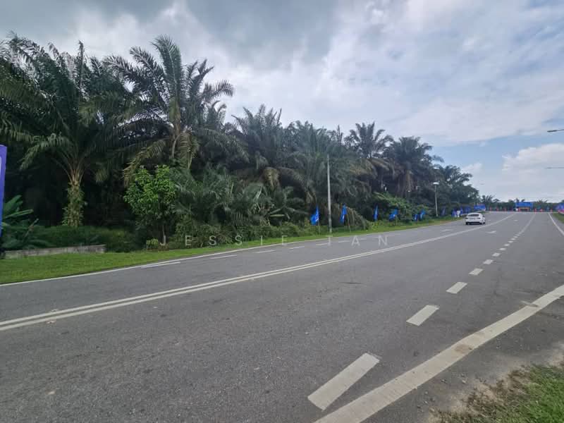 Tanah Pertanian untuk Dijual di Kulai (Johor) - Jessie Tan - Exterior - PropertyGuru.com.my