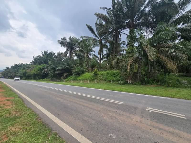 Tanah Pertanian untuk Dijual di Kulai (Johor) - Jessie Tan - Exterior - PropertyGuru.com.my