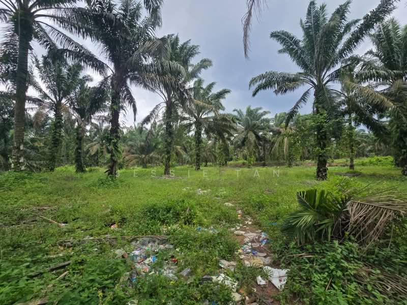 Tanah Pertanian untuk Dijual di Kulai (Johor) - Jessie Tan - Exterior - PropertyGuru.com.my