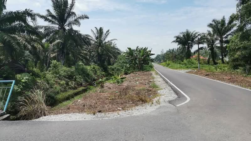 Tanah Pertanian untuk Dijual di Tmn Perindustrian Pekan Nenas 1 (Pekan Nanas) - Jessie Tan - Exterior - PropertyGuru.com.my
