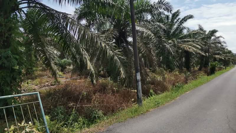 Tanah Pertanian untuk Dijual di Tmn Perindustrian Pekan Nenas 1 (Pekan Nanas) - Jessie Tan - Exterior - PropertyGuru.com.my