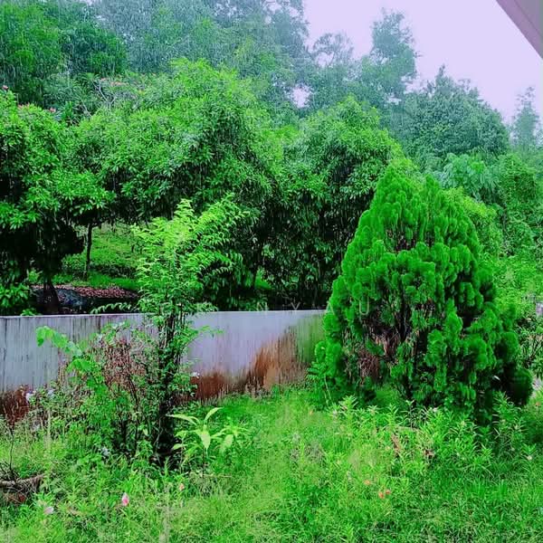 2-storey Terraced House for Sale in Ipoh (Perak) - Ck Nyau - PropertyGuru.com.my