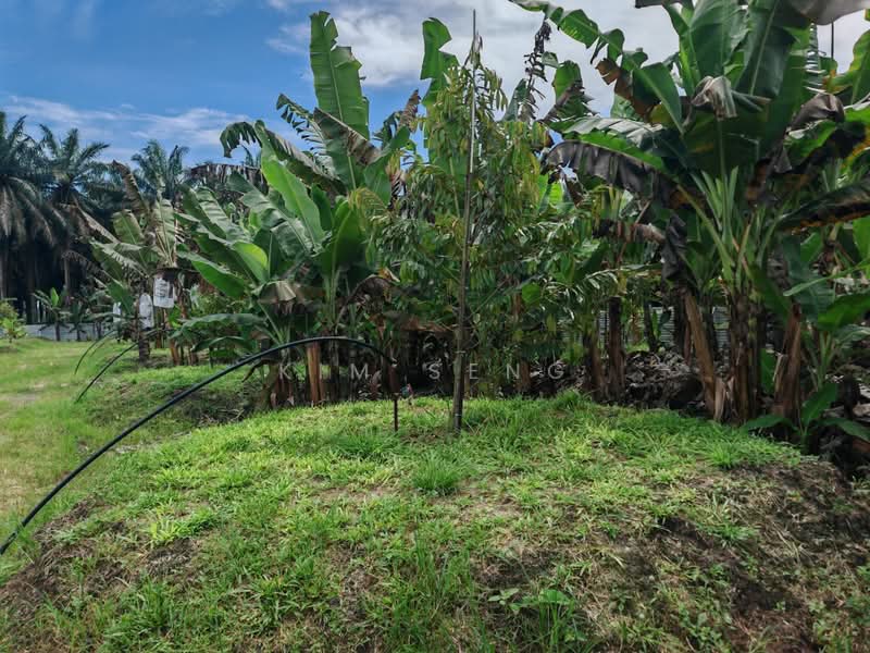 Agricultural Land for Sale in Kluang (Johor) - Kim Seng - Exterior - PropertyGuru.com.my