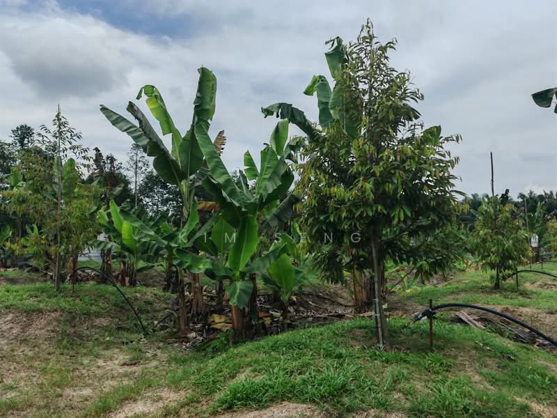 Agricultural Land for Sale in Kluang (Johor) - Kim Seng - Garden - PropertyGuru.com.my
