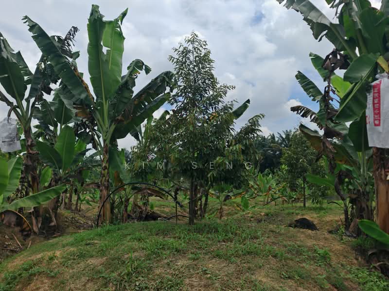 Agricultural Land for Sale in Kluang (Johor) - Kim Seng - Garden - PropertyGuru.com.my