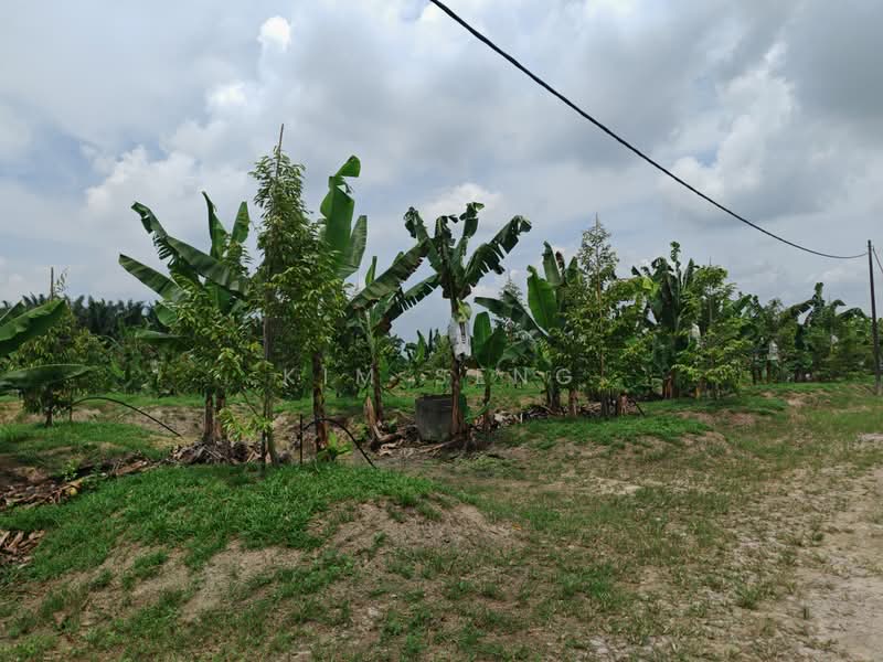 Agricultural Land for Sale in Kluang (Johor) - Kim Seng - Exterior - PropertyGuru.com.my