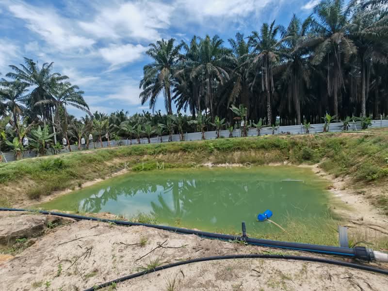 Agricultural Land for Sale in Kluang (Johor) - Kim Seng - Exterior - PropertyGuru.com.my