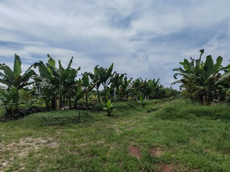 Agricultural Land for Sale in Kluang (Johor) - Kim Seng - Exterior - PropertyGuru.com.my