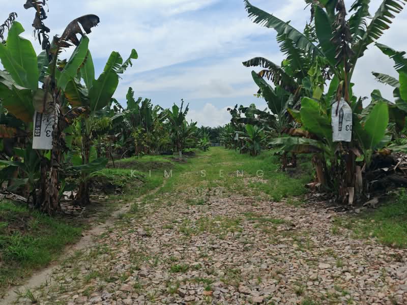 Agricultural Land for Sale in Kluang (Johor) - Kim Seng - Exterior - PropertyGuru.com.my