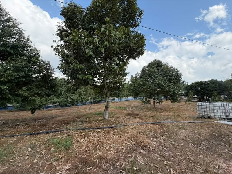 Agricultural Land for Sale in Simpang Renggam (Johor) - C.T Chong - Exterior - PropertyGuru.com.my