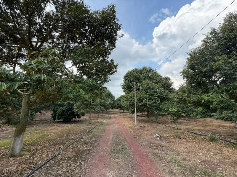 Agricultural Land for Sale in Simpang Renggam (Johor) - C.T Chong - Exterior - PropertyGuru.com.my